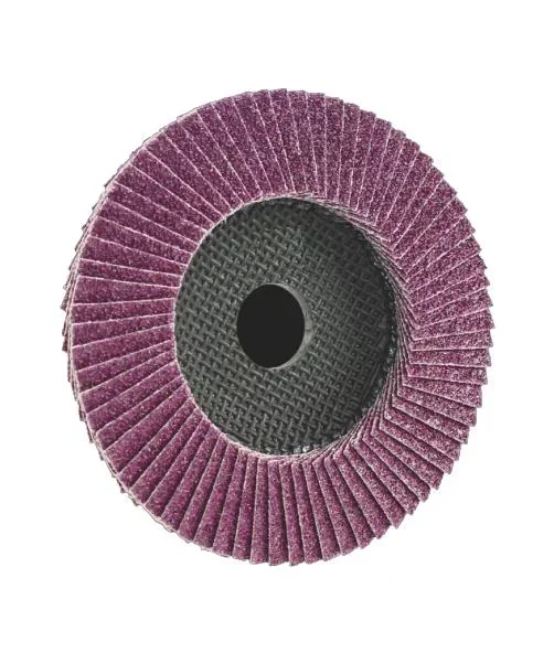 Fächerschleifscheibe Trimfix Black Mamba 125 mm, K 40 für schwerste Stahlarbeiten