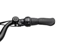 Unisex City E-Bike 28 Zoll, Rahmenhöhe 45 cm, 7-Gang Nabenschaltung, silberfarben, München