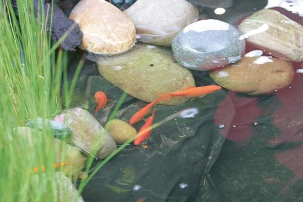 Teichvlies, weiß 5 x 2 m