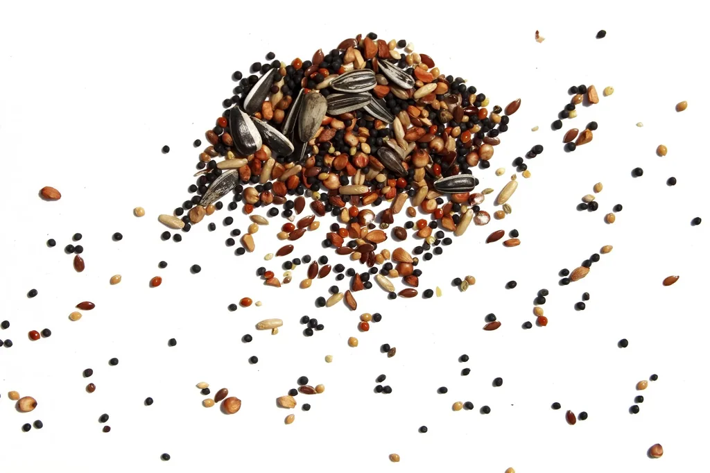 Ganzjahres-Vogelstreufutter, 1 kg