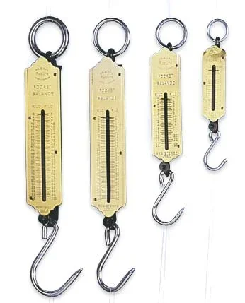 Taschen Federwaage, 100 kg