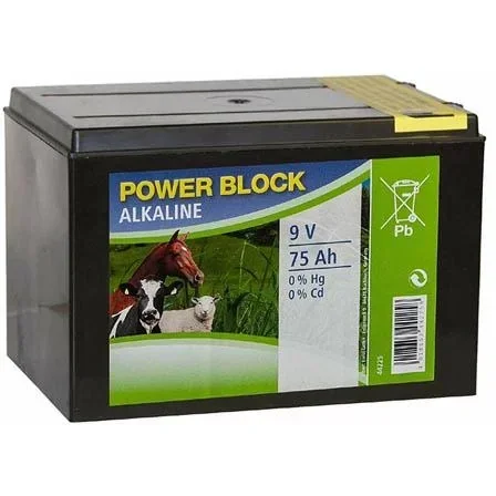 Alkalibatterie 75Ah im kleinen Koffer