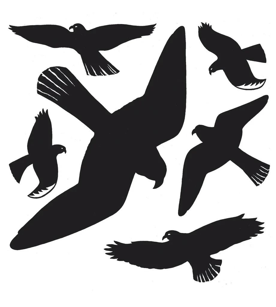 Warnvögel-Aufkleber für Fenster, schwarz, 30 x 30 cm