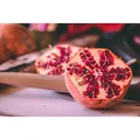 Bloem-up Vitamin-Pflanzen-Mix - 4 Stück ( 1x Goji-Beere, Honig-Beere, Blau-Beere & Granatapfel)