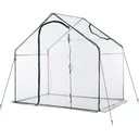 Gewächshaus mit Fenster transparent/dunkelgrün