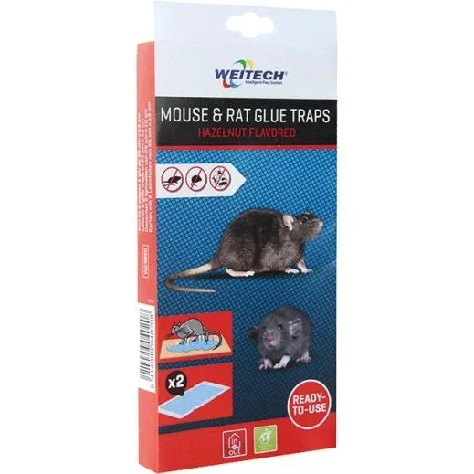 Mausefalle - mit Klebstoff