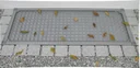 Lichtschachtabdeckung Light 60 x 115 cm, mit Alu-Gewebe