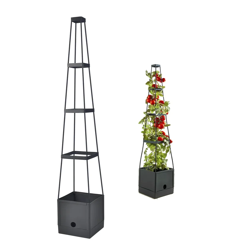 Tomaten - Rankhilfe mit Wasserspeicherfunktion