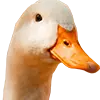 Gänsefutter image