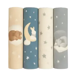 Douce Nuit image