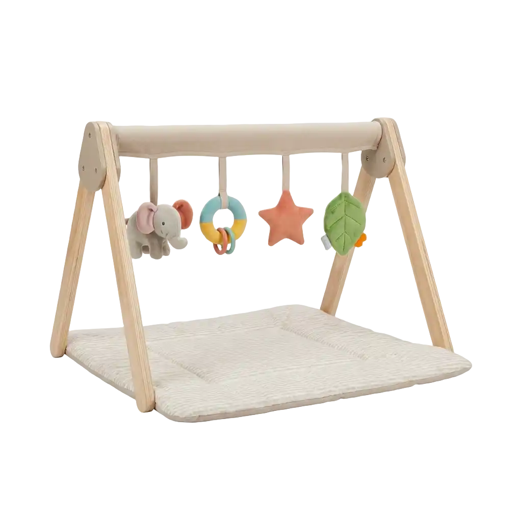 Baby Spielbögen Bild