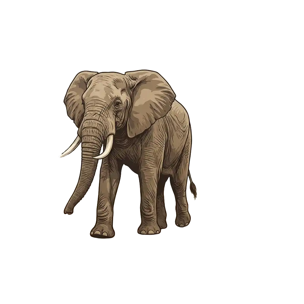 Tanzania image