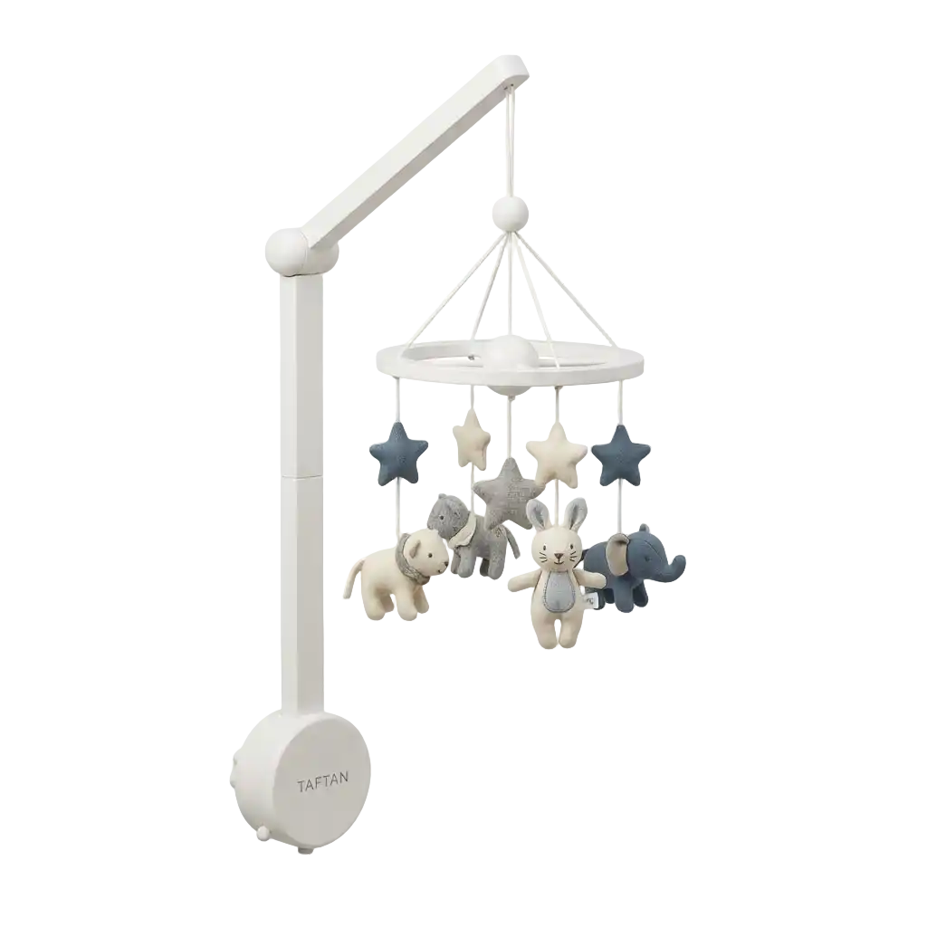 Taftan Spieluhren image