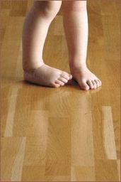 Boden image