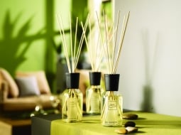 Raumdüfte & Zubehör image