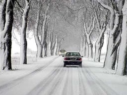 Auto Frostschutz Bild