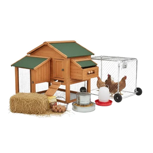 Hühnerhaltung image