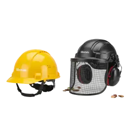Kopfschutz image