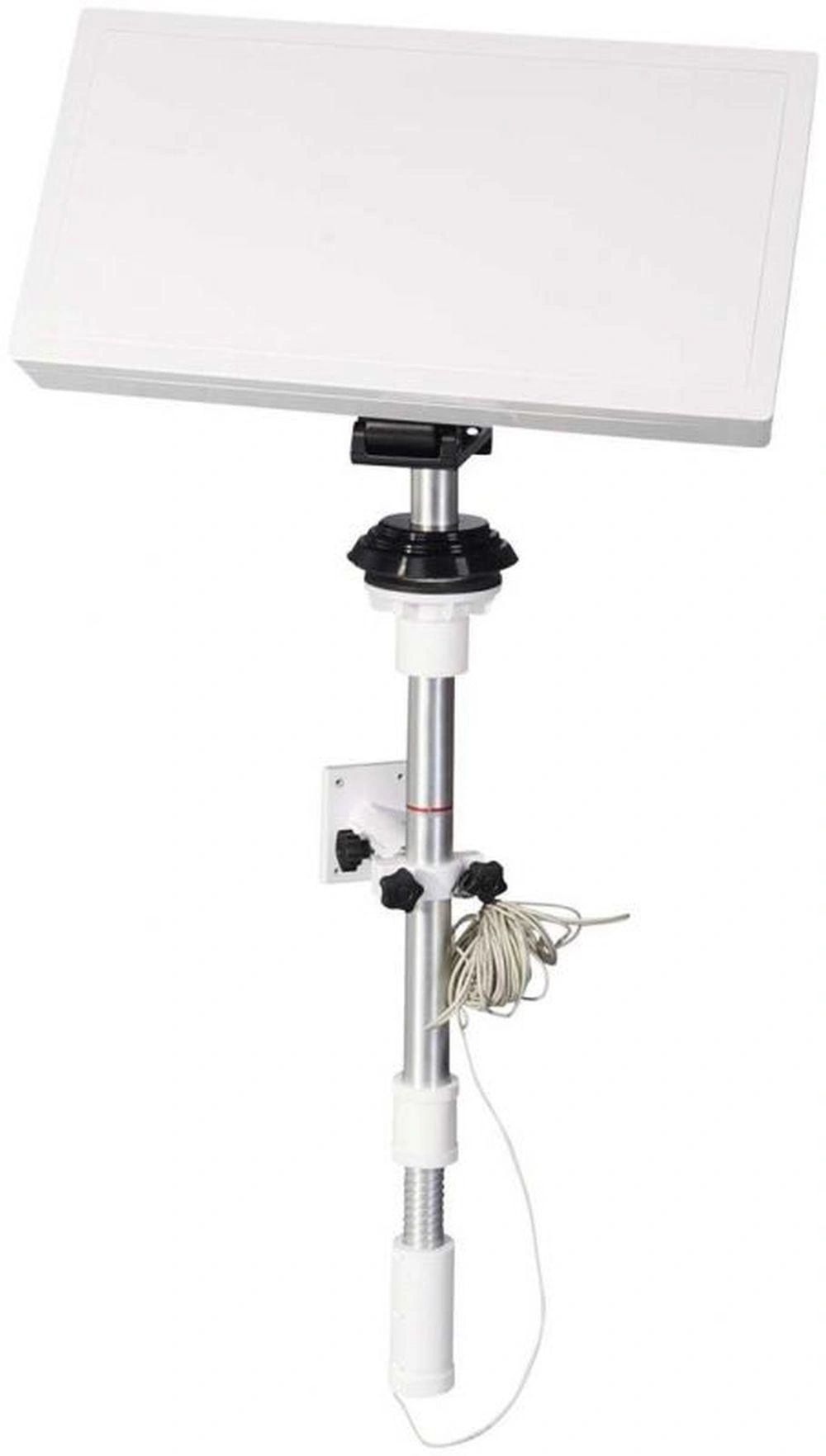Multimedia image