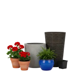 Pflanzkübel, Blumenkübel image