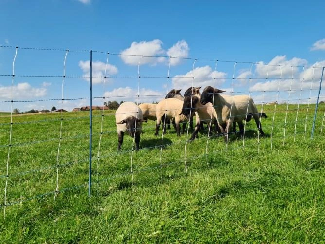 Schafnetze, Steckfix Horden image