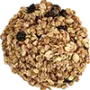 Fettfutter Vögel image