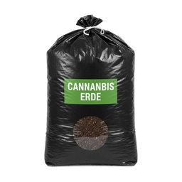 Cannabis Erde Bild