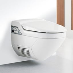 WC-Reiniger image