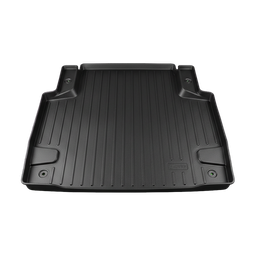 Kofferraumwanne Auto image