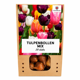 Blumenzwiebeln Bild