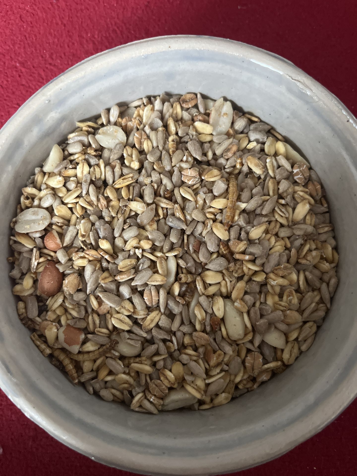 Anhang zur Bewertung