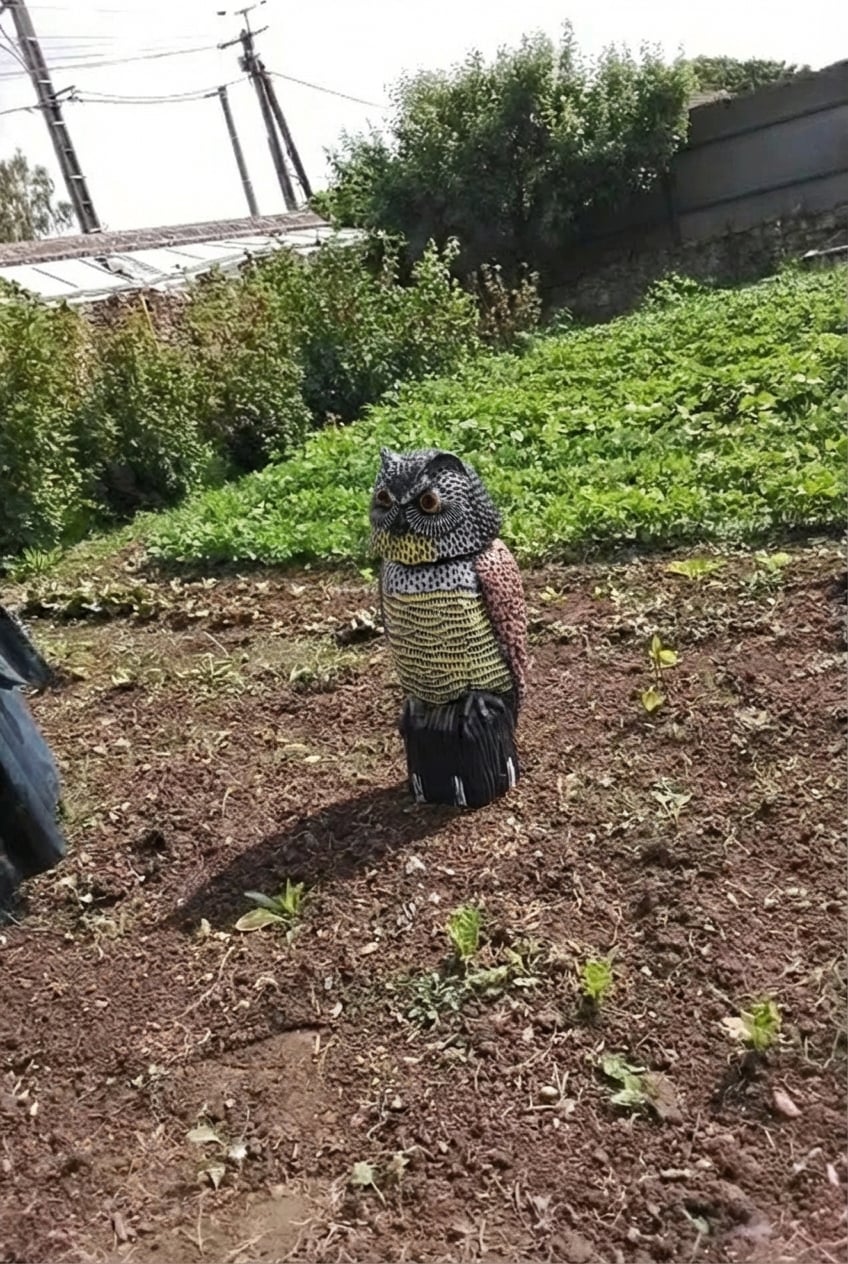 Anhang zur Bewertung