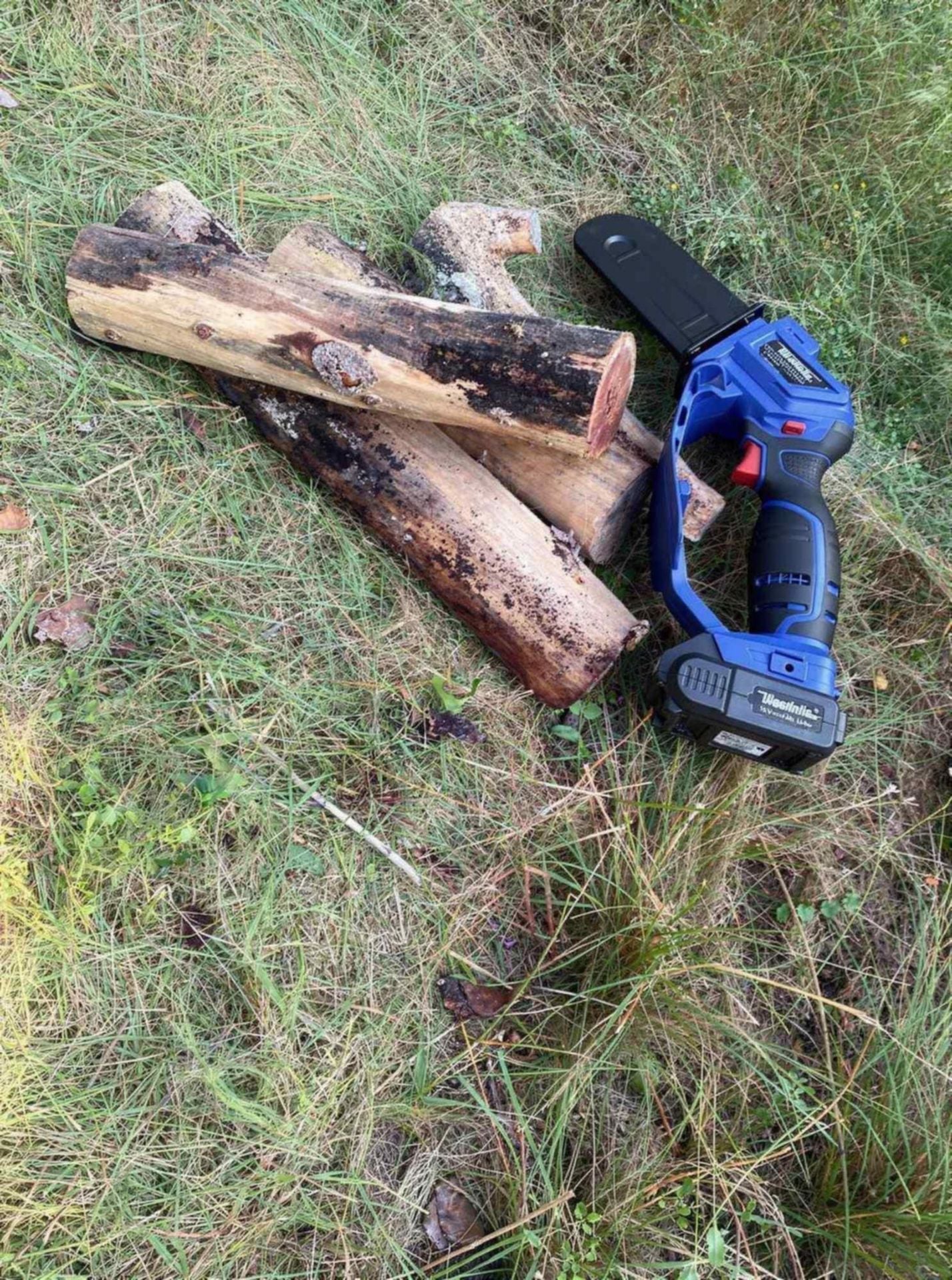 Anhang zur Bewertung