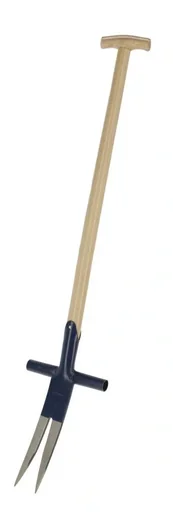 "Ampferstecher image"