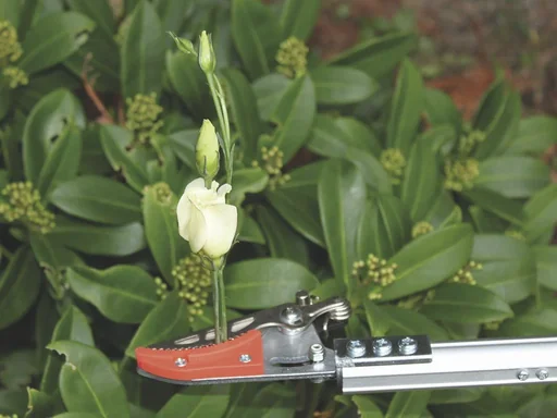 "Spezialschere "Rosenkavalier" + Rosen-Wunderschere + eversharp 5in1 Multifunktionspray, 400 ml image"