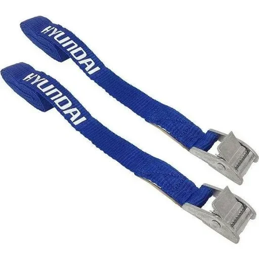 "Zurrgurt mit Schnalle 2,5 Meter x 25 mm - 2 Stück - 250kg - GS / TUV image"