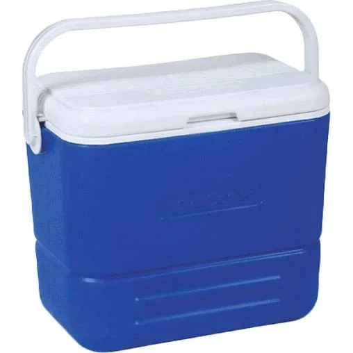 "Polar Cooler kuhlbox 15L image"