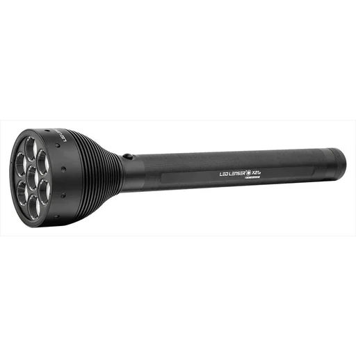 "X21.2 Taschenlampe image"