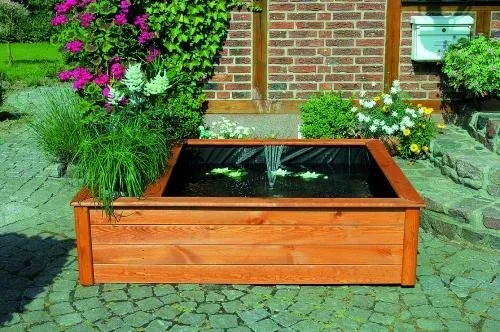 "Hochteich mit seitlicher Pflanzzone image"