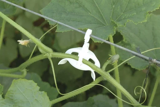 "Tomatenrank-Kit für Kunststoff Gewächshäuser image"