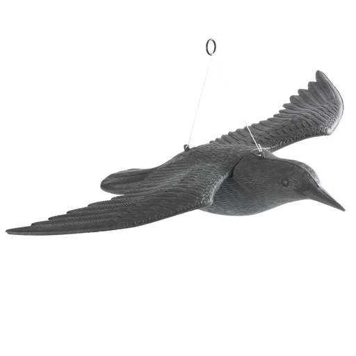 "Vogel - Abwehr fliegender Falke image"