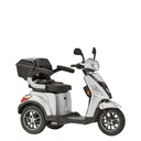 3-Rad E-Mobil Bologna 25 km/h silber