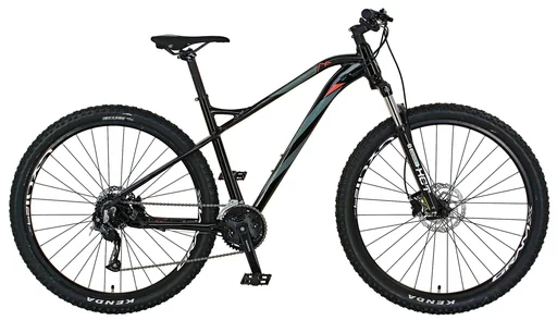 "GRAVELER 20.BMM.10 Mountain-Bike 29" Disc | 3x9 Gang image"