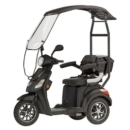 3-Rad E-Mobil Bologna 25 km/h schwarz inklusive Wind- und Wetterschutz