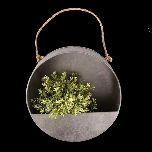 "Wandpflanzer image"