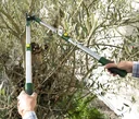 Teleskop Ast- und Heckenschere, 63-91 cm