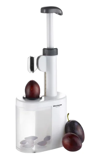 "Pflaumenentsteiner "Prunus" image"