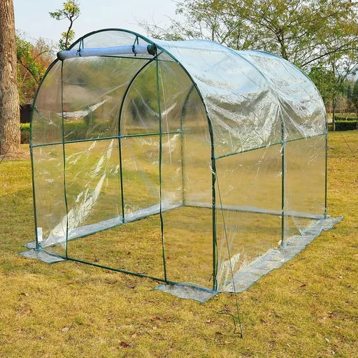 "Gewächshaus 2,5x2x2m Foliengewächshaus Transparent image"