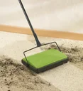 Teppichkehrer, grün