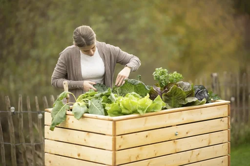"Holz Hochbeet Fichte L image"